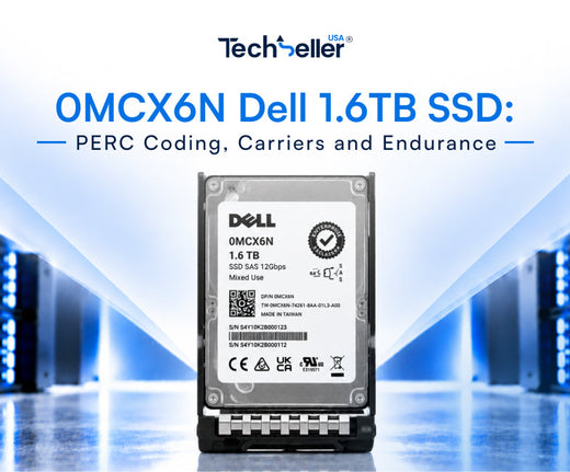 0MCX6N Dell 1.6TB SSD: PERC Coding, Carriers and Endurance